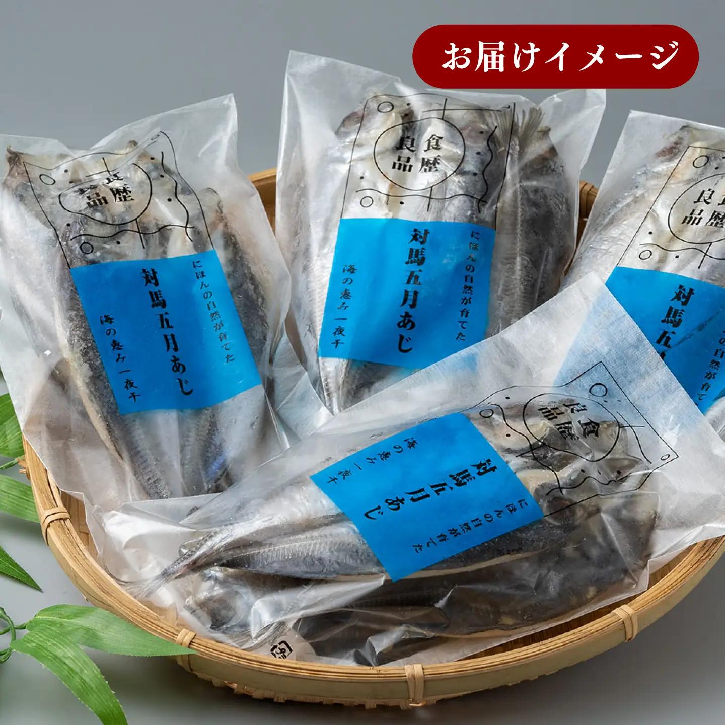 【全3回定期便】対馬 五月 真あじ 一汐干し 10枚 新鮮 アジ 干物 [WAI042]