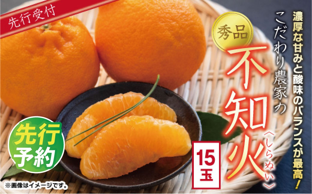 
                  【先行予約】数量限定 こだわり農家の秀品 不知火 15玉 （ 大玉 ） ／ しらぬい 果物 フルーツ ギフト 贈り物 プレゼント 柑橘 くだもの【2027年4月上旬より発送開始予定】
                