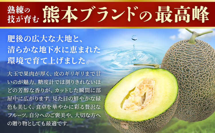 【先行予約】肥後グリーンメロン 4～6玉 約7kg 日本フルーツ株式会社《5月上旬-7月下旬頃出荷》熊本県 菊池市 メロン 熊本県産---308-5025---