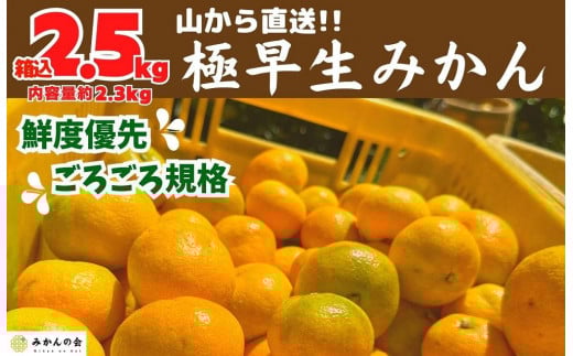 
            みかん 極早生 山から直送 箱込 2.5kg (内容量約 2.3kg) 採れたてそのままごろごろ規格 有田みかん 和歌山県産 【みかんの会】みかん 果物 みかん フルーツ みかん 和歌山 みかん 柑橘類 みかん 和歌山県産 みかん 有田 みかん
          