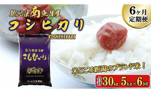 【令和6年産新米予約／令和6年11月上旬より順次発送】【A-6定期便】南魚沼産コシヒカリ5kg×6回