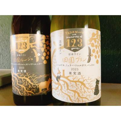 ふるさと納税 上富良野町 【野生酵母】混醸仕込みの赤ワイン&辛口白ワイン 多田ワイナリー |  | 01
