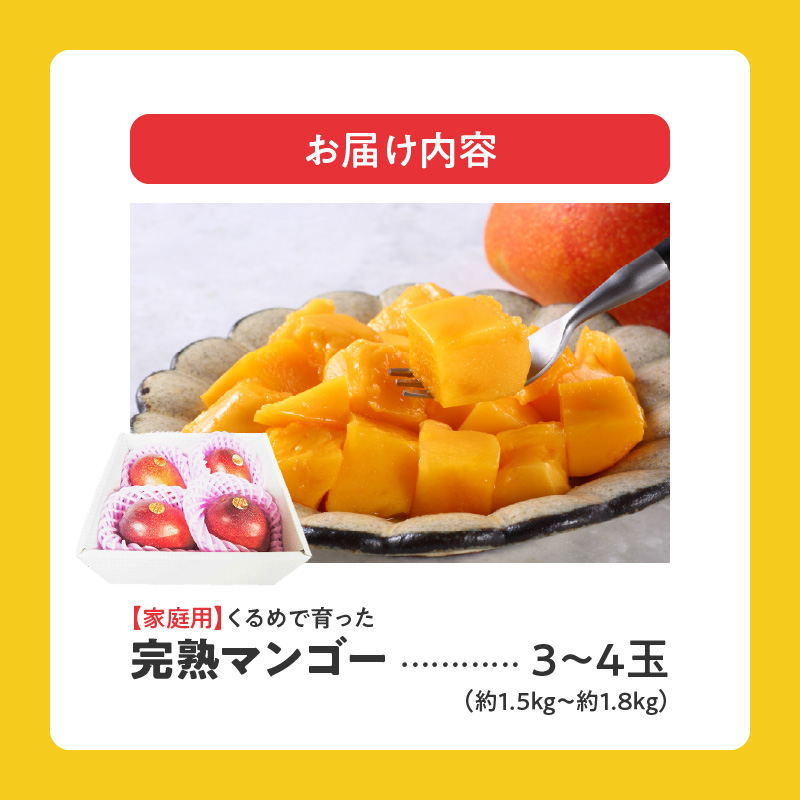 【2027年7月以降お届け】【家庭用】くるめで育った完熟マンゴー（3～4玉：約1.5～1.8kg）_家庭用 トロ～ッと口のなかでとろける くるめで育った 完熟マンゴー 3玉 ～ 4玉 甘い 子供も安心 フルーツ 果物 果実 マンゴー 完熟 国産 家庭用 訳あり 冷蔵 クール便 倉重農園 お取り寄せ 福岡県 久留米市 送料無料_Fm009-034