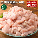 【ふるさと納税】【定期便】【1ヶ月毎11回】九州産若鶏ムネ肉 600g×7袋 計46.2kg（4.2kg×11回） 鶏肉 お肉 ムネ肉 むね肉 小分け 冷凍 九州産 国産 熊本県 菊池市 送料無料