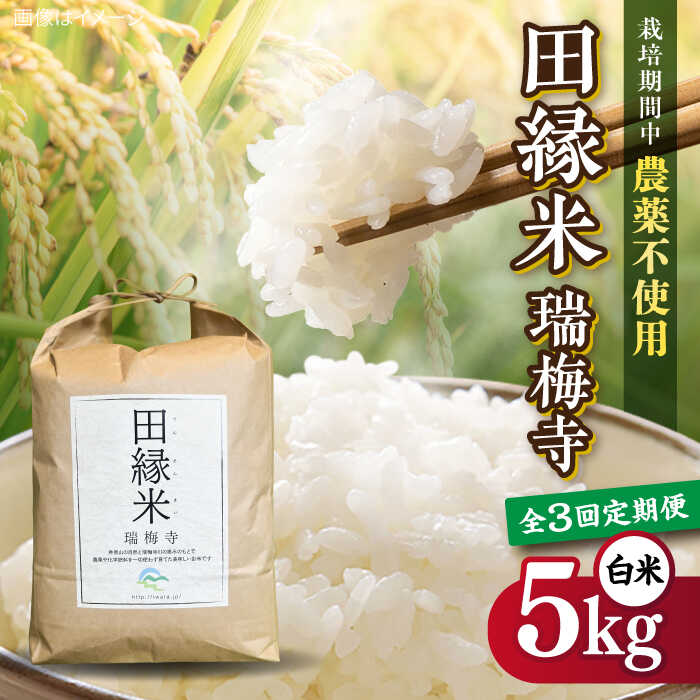 【ふるさと納税】【先行受付】【全3回定期便】 田縁米(でんえんまい)・瑞梅寺(ずいばいじ) 白米 5kg 【2025年11月下旬以降順次発送】 糸島市 / NPO法人田縁プロジェクト 米 白米[ATM006] 60000円 6万円