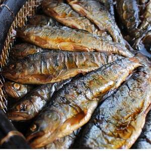 渓流の女王　アマゴ(冷凍12尾入り)【配送不可地域：離島】【1678912】