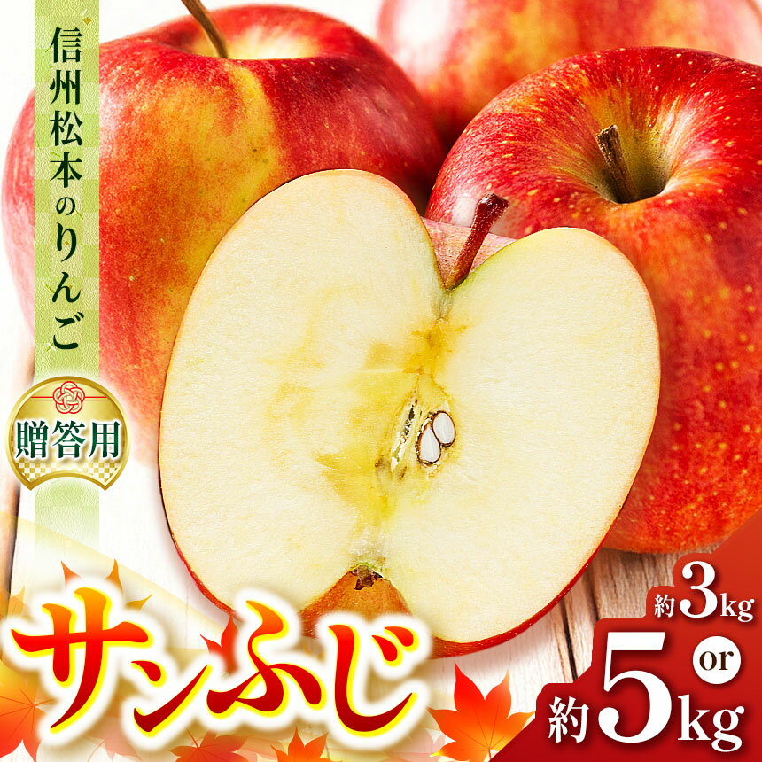 【ふるさと納税】【先行受付：2025年11月発送】【選べる】【贈答用】信州松本のりんご「サンふじ」約3kg or 約5kg｜ふるさと納税 信州産 長野県 松本市 サンふじ りんご リンゴ 林檎 果物 フルーツ くだもの