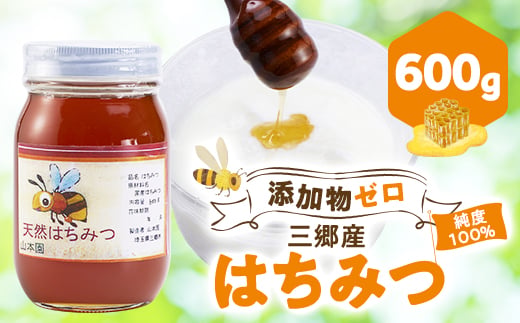 
                  三郷産はちみつ_蜂蜜 はちみつ ハチミツ ハニー 添加物不使用 添加物ゼロ 純度100％ 国産 埼玉県 三郷市 人気 おすすめ 送料無料 プレゼント 贈答 ギフト【1404458】
                