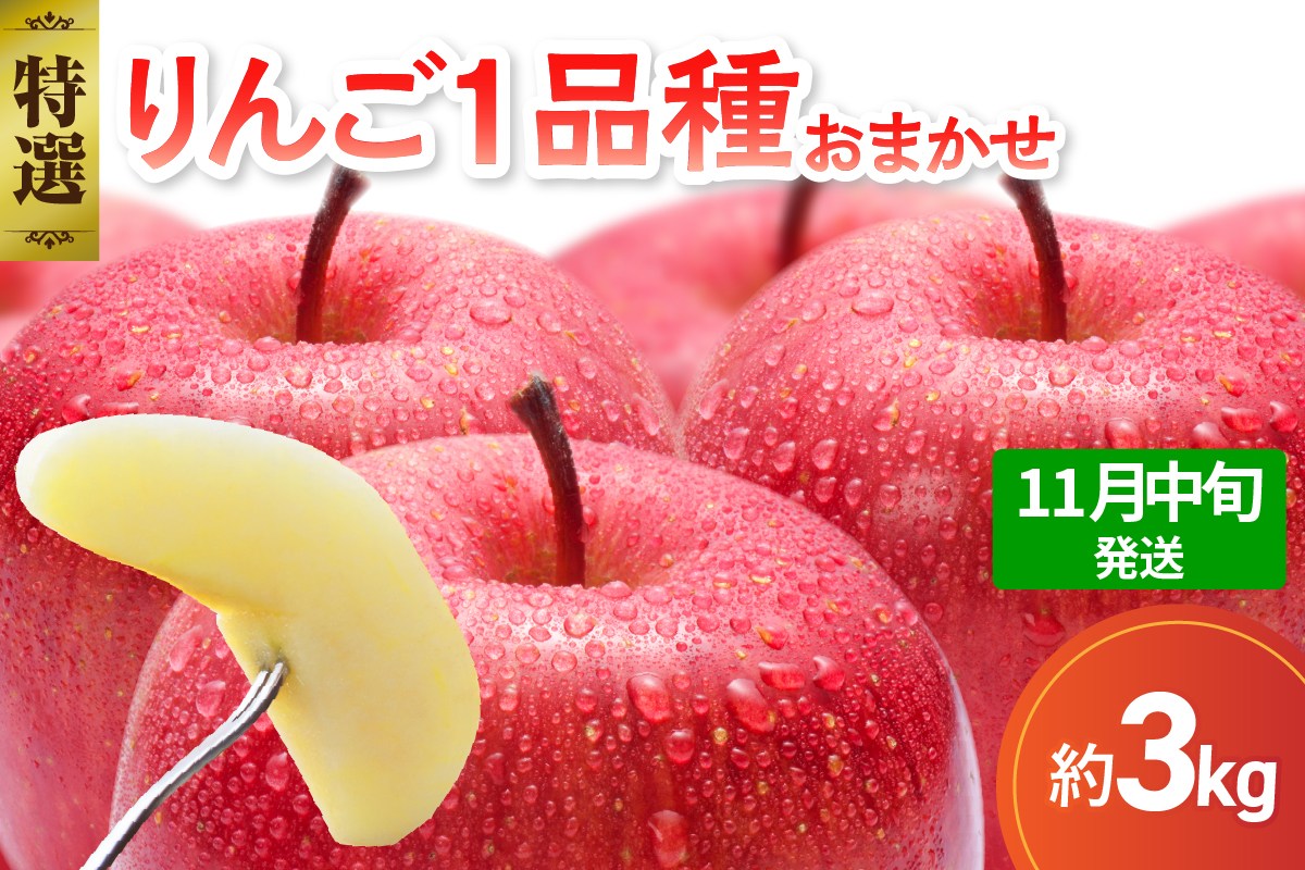 【2026年11月中旬発送】【特選】 旬の美味しい りんご 約3kg 青森産 【おまかせ1品種】