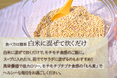 【 熊本県産 もち麦 】3kg(500g×6袋) 白米 と 炊くだけ！【 もちもち もちむぎ 麦 もち麦 ヘルシー 食感 ぷちぷち 食物繊維 炊飯 健康 高栄養 ポリフェノール  熊本県 多良木町産 