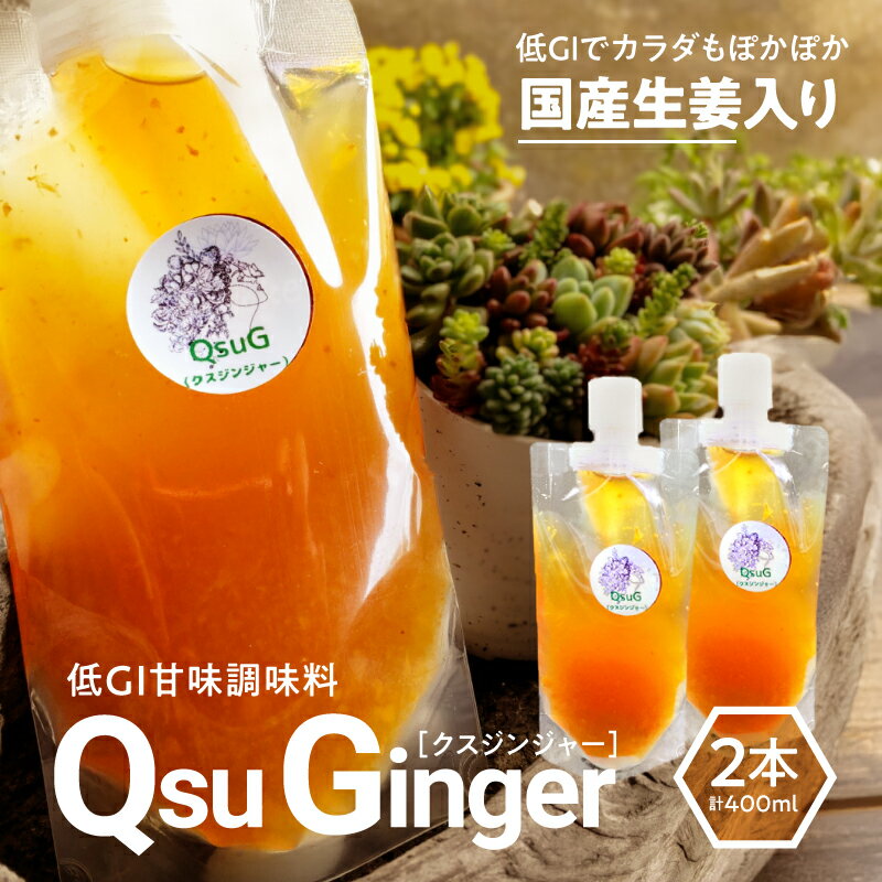 【ふるさと納税】 QsuGinger 200ml × 2本 調味料 甘味調味料 Qsu ジンジャー 生姜 加工品 加工食品 温活 ジンジャーエール ジンジャークッキー ジンジャーケーキ クス 低GI Bauntfulet 鹿児島 鹿屋市 おすすめ ランキング プレゼント ギフト