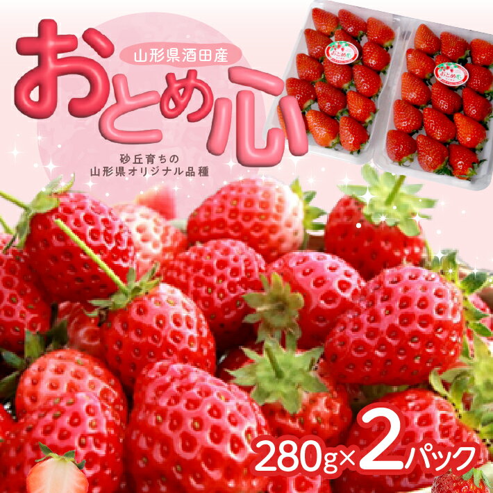 【ふるさと納税】いちご 「おとめ心」 約280g×2パック 山形県酒田産 4月下旬〜5月下旬頃お届け 冷蔵便 ※着日指定・離島発送不可 苺 おとめ心 東北 山形県 庄内 酒田市 春 旬 果物 フルーツ 農協 JA 産地直送