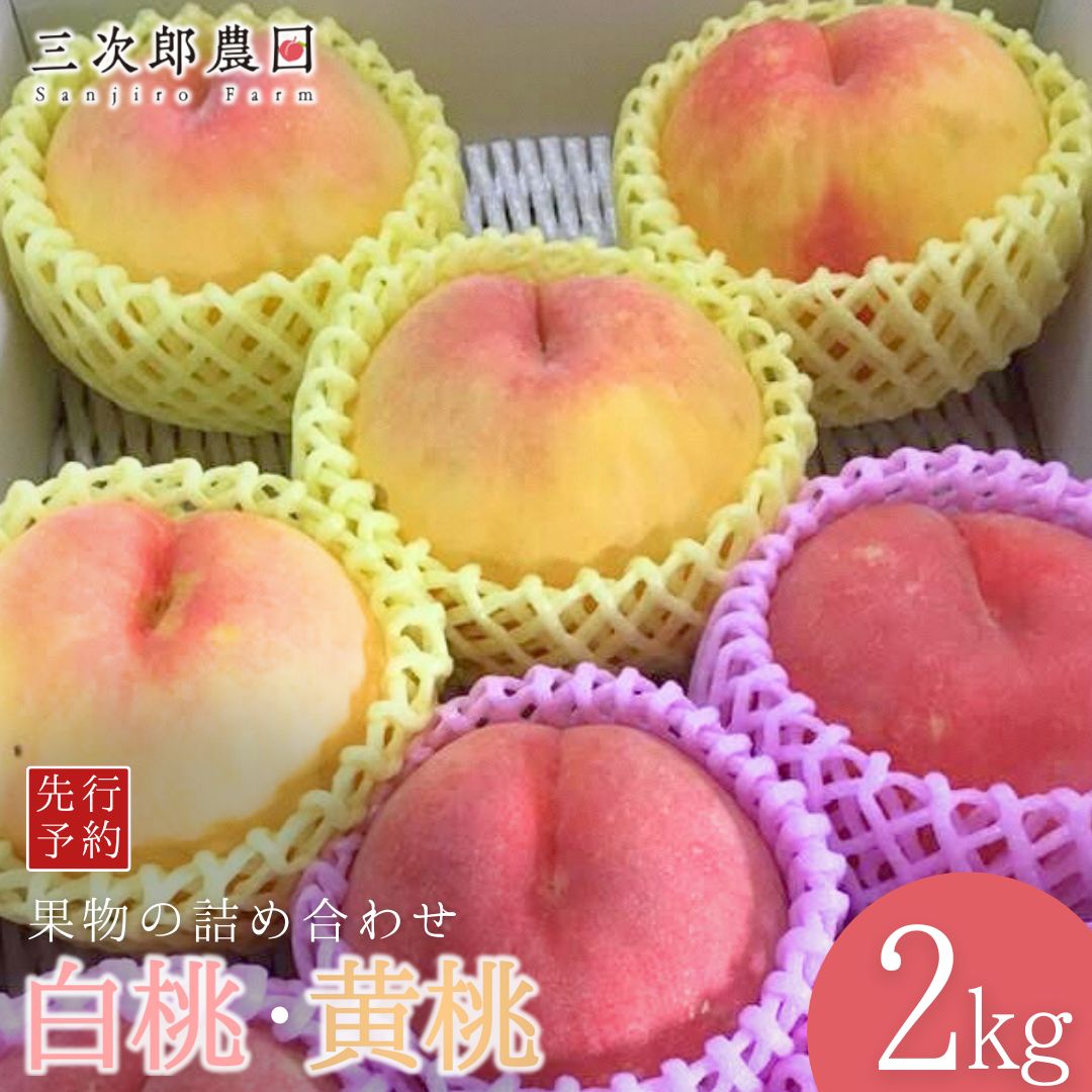 【ふるさと納税】先行予約 白桃・黄桃詰合せ 約2kg(各3玉 計6玉入り) 令和8年度 贈答用桃 新潟県三条市産 桃 [三次郎農園]【013S133】