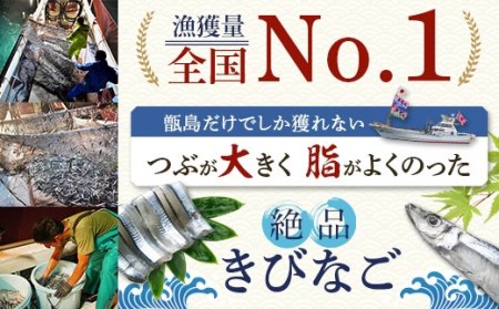 AS-140 天然きびなご漁師漬け･きびなご天日干しｾｯﾄ 日笠山水産 煎茶･ﾈｷﾞ胡麻･海苔付