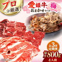 【ふるさと納税】【全3回定期便】牛肉 「 愛姫牛 」店主におまかせ旬 セット【梅】 800g （ 4人前 ） | 人気 おすすめ ランキング おいしい 大洲市/木村屋精肉店[AGCC055] 60000 60000円 六万 六万円