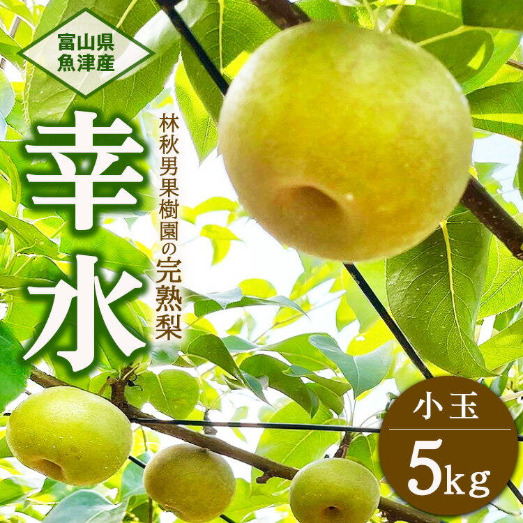 【ふるさと納税】【早期予約】【小玉】林秋男果樹園の完熟梨「幸水」5kg｜フルーツ なし 富山県魚津市　※2026年8月～発送