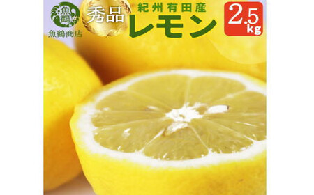 秀品　紀州有田産レモン　2.5kg【予約】※2026年3月上旬頃〜2026年3月中旬頃に順次発送予定(お届け日指定不可) レモン れもん 果物 柑橘【uot776】