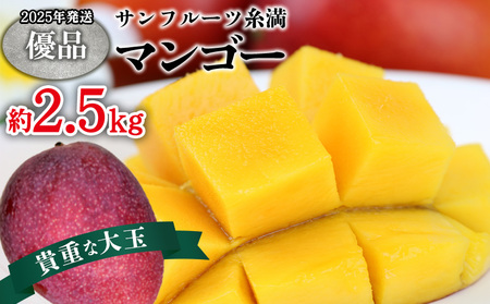 【2025年発送】サンフルーツ糸満マンゴー貴重な大玉 優品　約2.5kg 産地直送 先行予約 フルーツ 果物 くだもの アップルマンゴー アップル アーウィン種 濃厚 デザート 贅沢 旬の果物 甘い おすすめ プレゼント 贈答 冷蔵 国産 沖縄 沖縄県産