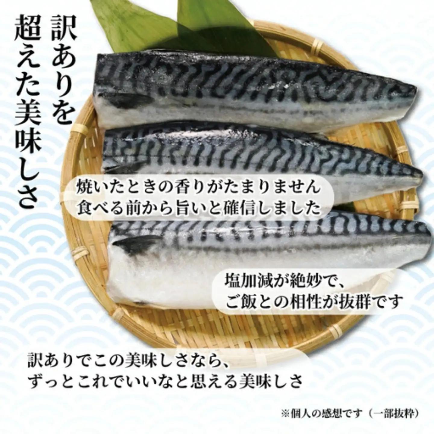 鯖 訳あり 塩鯖 5kg