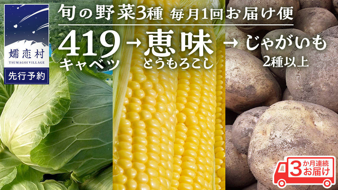 【 2025年 7月 発送開始 】 《3か月定期便》旬の野菜3種 419キャベツ 恵味トウモロコシ じゃがいも きゃべつ 嬬恋村産キャベツ 羽生田売店 幻のキャベツ419 産地直送 期間限定 先行予約
