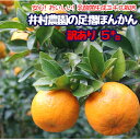 【ふるさと納税】先行予約＜訳あり＞井村農園の足摺ぽんかん（5kg）デコポンの親 みかん 柑橘 果物 果実 ミカン ぽんかん ポンカン フルーツ おやつ デザート わけあり 5キロ 美味しい 国産 送料無料 高知県 ギフト ふるさとのうぜい 故郷納税 返礼品【R00157】