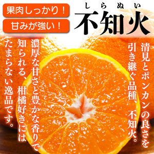 訳あり みかん 果物 しらぬい 3kg L ～ 2L 混合 サイズ不揃い 先行予約 令和 7年産 1箱 不知火 柑橘 阿波市産