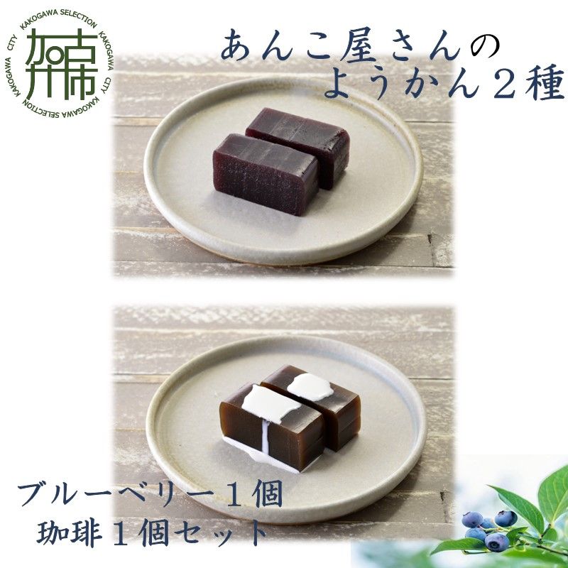 【老舗の味】あんこやさんの「ようかん2種」(ブルーベリー1個・珈琲1個セット)《 珈琲ようかん ブルーベリーようかん ようかん 羊羹 ようかんセット 老舗 お菓子 和菓子 》【2601H05903】