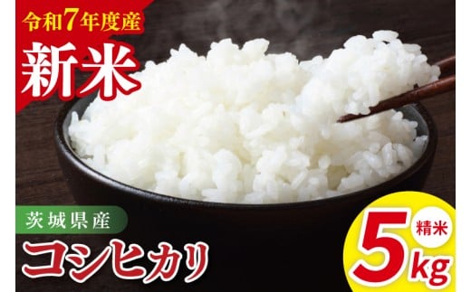 令和7年産 茨城県産コシヒカリ　精米　5kg｜ お米 米 ごはん 阿見町 茨城県 茨城県産 茨城県産米（85-11）
