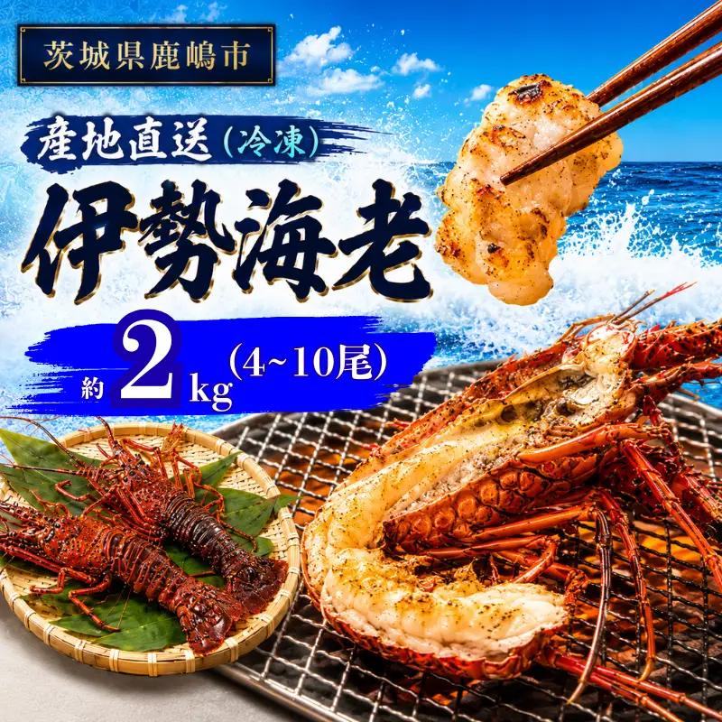 【 伊勢海老 】 約2kg 4～10尾 冷凍 伊勢海老