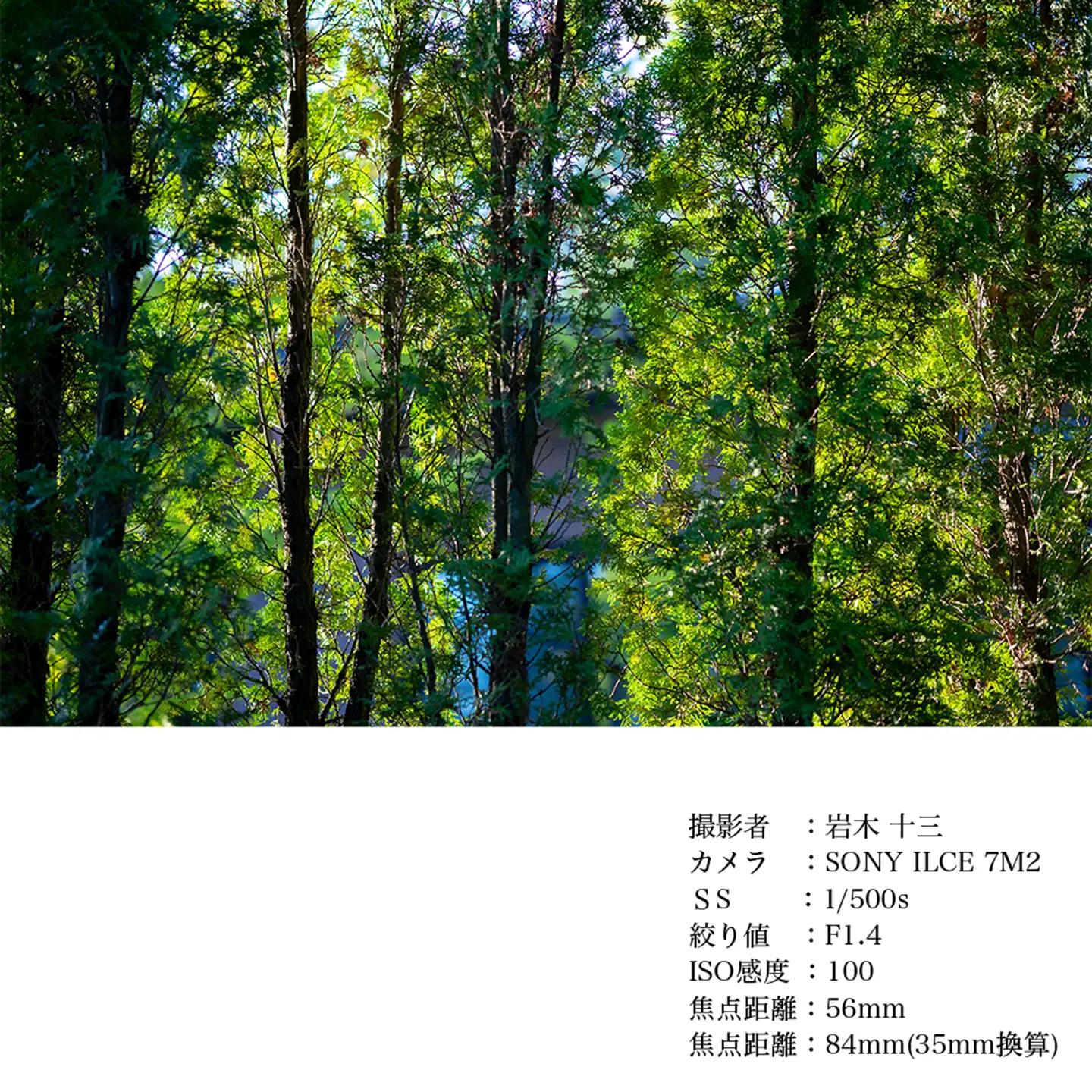 SIGMA 56mm F1.4 DC DN | Contemporary【キヤノンRFマウント】（数量限定）