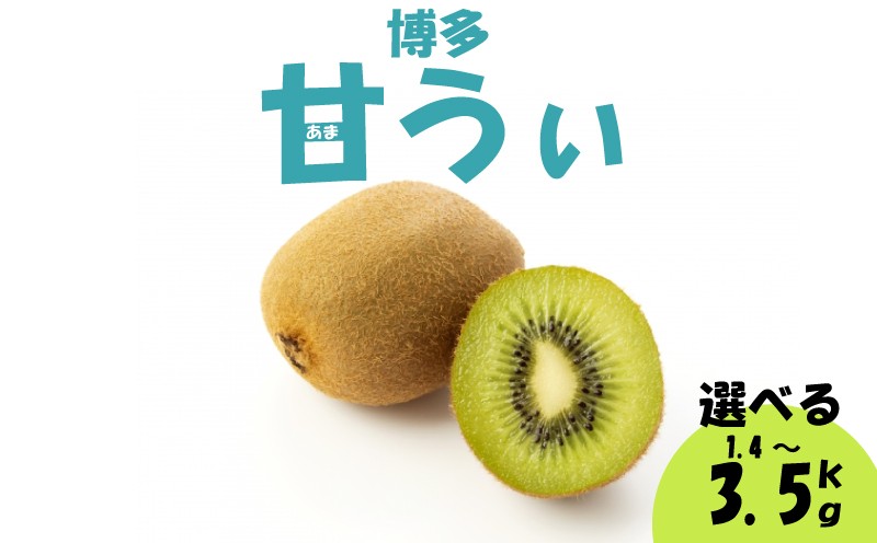
                   【2026年10月下旬-11月下旬発送予定】選べる容量 福岡県産 博多甘うぃ 約1.4kg(大玉9玉入） 約3.5kg(20玉-27玉入）キウイ 甘うぃ 大玉 果物 スイーツ 数量 期間限定 ふるさと納税キウイ 甘い 人気 フルーツ ふるさと納税甘うぃ ランキング福岡 九州 福岡県 川崎町 数量限定 期間限定
                