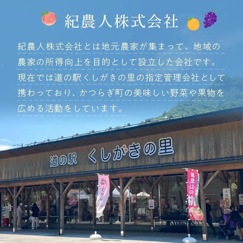 桃 極上秀品 約2kg 6～8個入［先行予約］［2027年7月下旬頃より順次発送］こだわり農家厳選［KG19］