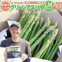 【ふるさと納税】野菜 お試し 予約 数量限定 アスパラ LMサイズ 400g 朝採り 直送 グリーンアスパラガス 朝採れ ポスト投函【2025年2月から6月頃に順次発送予定】夏季配送不可 おためし BT12