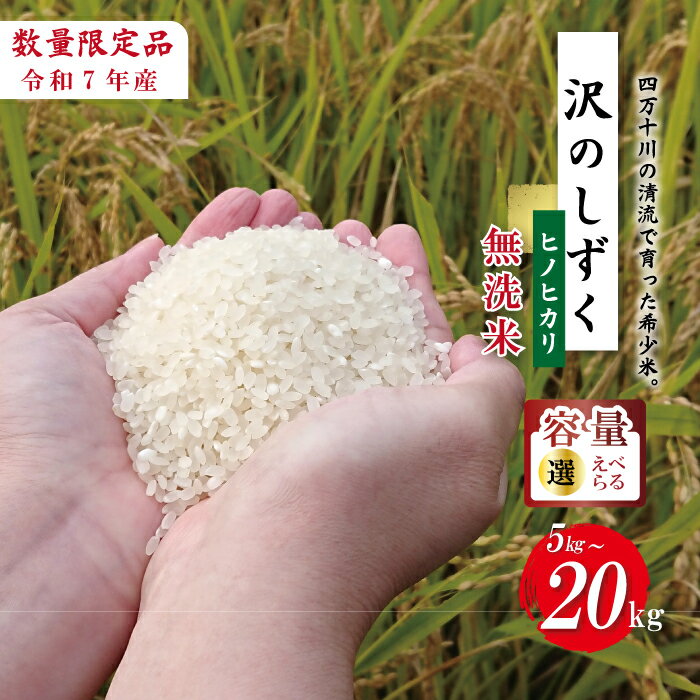 【ふるさと納税】【選べる 容量】令和7年産 米 ヒノヒカリ 5kg 10kg 無洗米 精米 白米 沢のしずく 2025年 四万十市産 国産 ひのひかり おこめ こめ コメ ご飯 ごはん おいしい ふっくら もちもち 高知県 高知 四万十市 四万十 しまんと お取り寄せ 送料無料