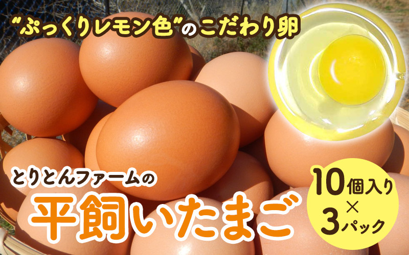 
とりとんファームの平飼いたまご10個入り×3パック / 田辺市 卵 たまご 鶏卵 平飼い 卵かけごはん【trt004-2】
