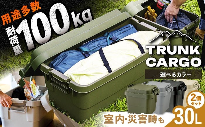 
            【選べるカラー】トランクカーゴ Sサイズ 2個組 / キャンプ ボックス 収納 アウトド トランクカーゴ Sサイズア コンテナ ケース 道具箱 レジャー 釣り ギア 頑丈 大容量 キャンプ用品 屋外 活動 便利 持ち運び インテリア お取り寄せ 贈答 ギフト 人気 おすすめ 岐阜県 / 恵那市 / 東谷株式会社　明智流通センター [AUAD028P]
          