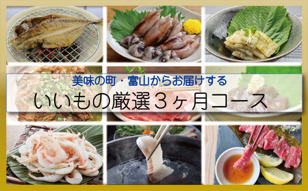 【３ヶ月定期便】美味の町・富山からお届けする！いいもの厳選３ヶ月コース 富山県 氷見市 定期便 魚 肉 惣菜 加工品 セット