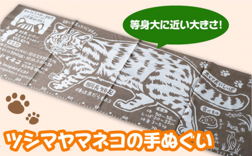 【令和6年産 新米 予約受付中】佐護 ツシマヤマネコ 米 5kg ツシマヤマネコ雑貨 セット【24年10月以降順次発送】《対馬市》【一般社団法人MIT】玄米 対馬 精米 減農薬 猫 ギフト [WAP0