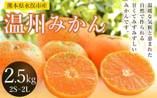 温州みかん 約2.5kg 2S～2L みかん 果物 くだもの フルーツ 柑橘 【2025年11月上旬から2025年12月上旬まで順次発送予定】