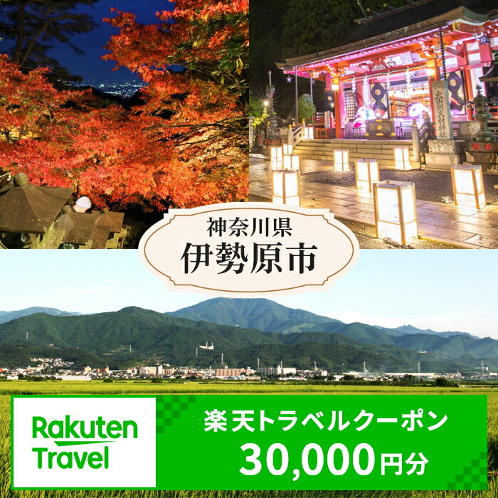 【ふるさと納税】神奈川県伊勢原市の対象施設で使える楽天トラベルクーポン 寄付額100,000円 [3713]
