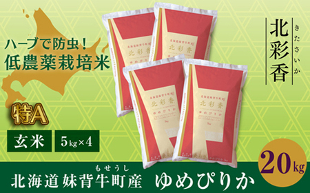 2026年2月発送 令和7年産 ゆめぴりか 玄米 20kg 一括発送 【北彩香】| 妹背牛産 北海道 米 道産 特A