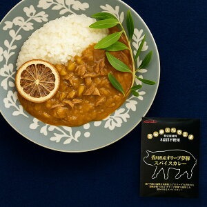 【ふるさと納税】 レトルトカレー  グルテンフリー [ 詰め合わせ カレー セット 人気 グルメ ギフト 台 地鶏 送料無料 返礼品 香川県 三豊市 讃岐罐詰株式会社 ]