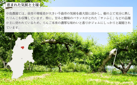 りんごジャム(サンふじ) 3個入り [中島農園] ｜ りんごジャム りんごジャム りんごジャム りんごジャム りんごジャム