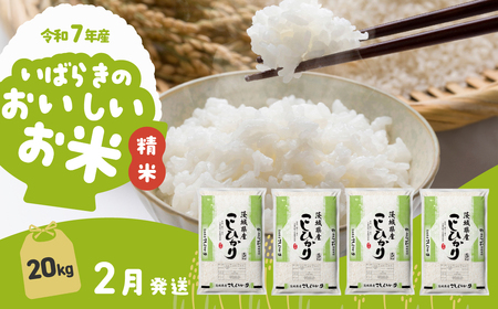 【令和7年産】精米 コシヒカリ 20kg 3月発送 白米 20kg(5kg×4袋)