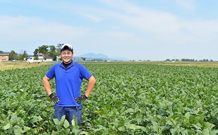 75E-18新潟県長岡産枝豆2.0kg【越一寸250g×8袋入り】