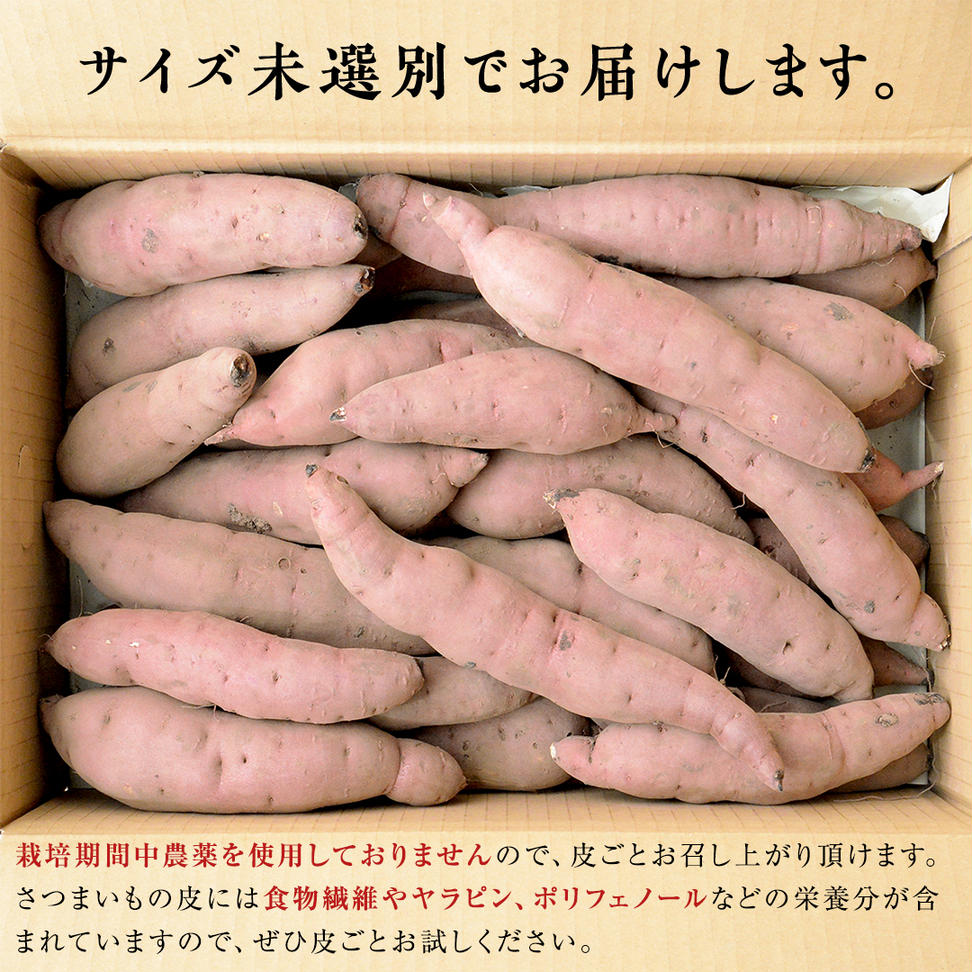 つくばみらい市産 さつまいも 紅はるか 土付き5kg サイズ未