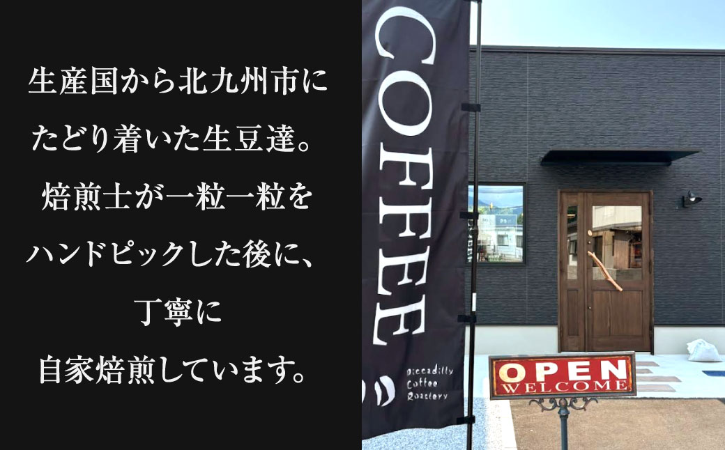 スペシャルティコーヒードリップバッグ （ 7袋 ） コーヒー 珈琲 COFFEE coffee ドリップバッグ 窒素充填 アウトドア キャンプ 登山 釣り ドリップ