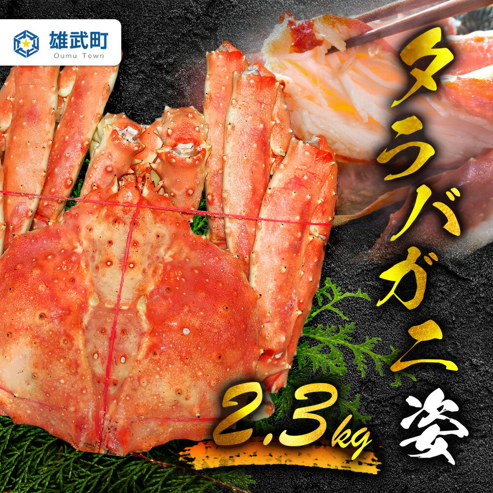 【ふるさと納税】《数量限定》北海道オホーツク産 タラバガニ姿　2.3kg | タラバガニ カニ 蟹 タラバ たらば蟹 海鮮 魚介 海の幸 おつまみ 晩酌 夜ご飯 贅沢 ご褒美 オホーツク産 北海道産　お取り寄せ 北海道 雄武町 雄武【0719101】