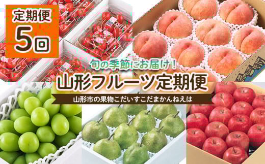 【定期便5回】山形の果物 こだいすこだまかんねえは 【令和7年産先行予約】FU24-616