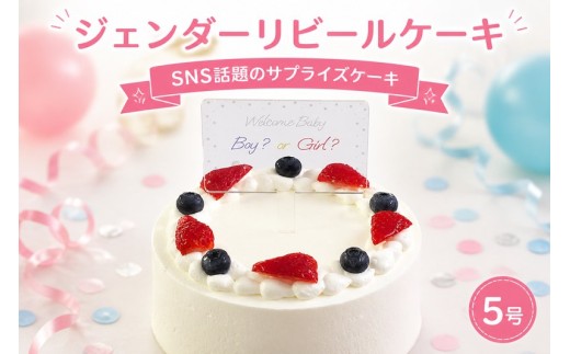 【男の子：ブルーベリークリーム】 ジェンダーリビールケーキ 5号 クリームの色が選べる ケーキ フルーツ 生クリーム いちご ブルーベリー 冷凍 スイーツ お菓子 ギフト プレゼント サプライズ ジェンダーリビールパーティ お祝い 記念日 誕生日 内祝い 阿波市 徳島県
